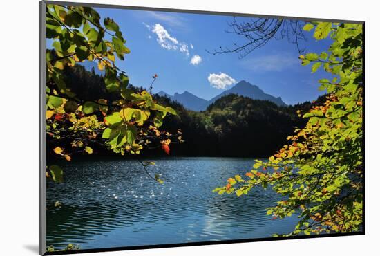 Germany, Bavaria, Sunny Autumn Day, 'Schwansee' (Lake) Near FŸssen-Uwe Steffens-Mounted Photographic Print