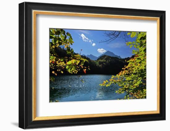 Germany, Bavaria, Sunny Autumn Day, 'Schwansee' (Lake) Near FŸssen-Uwe Steffens-Framed Photographic Print