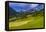 Germany, Bavaria, Upper Bavaria, Berchtesgadener Land, Ramsau Near Berchtesgaden-Udo Siebig-Framed Premier Image Canvas