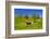 Germany, Bavaria, Upper Bavaria, Chiemgau, Samerberg (Mountain-Udo Siebig-Framed Photographic Print