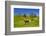 Germany, Bavaria, Upper Bavaria, Chiemgau, Samerberg (Mountain-Udo Siebig-Framed Photographic Print