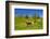 Germany, Bavaria, Upper Bavaria, Chiemgau, Samerberg (Mountain-Udo Siebig-Framed Photographic Print