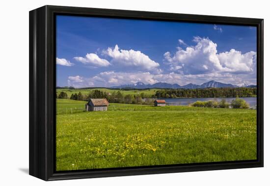 Germany, Bavaria, Upper Bavaria, Pfaffenwinkel, Egling by the Riegsee Lake-Udo Siebig-Framed Premier Image Canvas