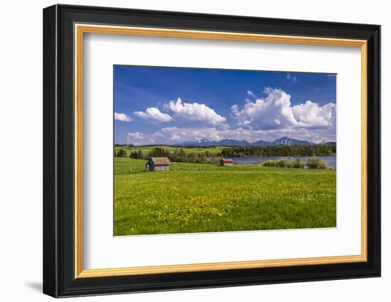 Germany, Bavaria, Upper Bavaria, Pfaffenwinkel, Egling by the Riegsee Lake-Udo Siebig-Framed Photographic Print