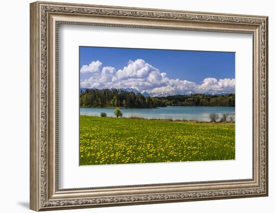 Germany, Bavaria, Upper Bavaria, Pfaffenwinkel, Osterseen-Udo Siebig-Framed Photographic Print