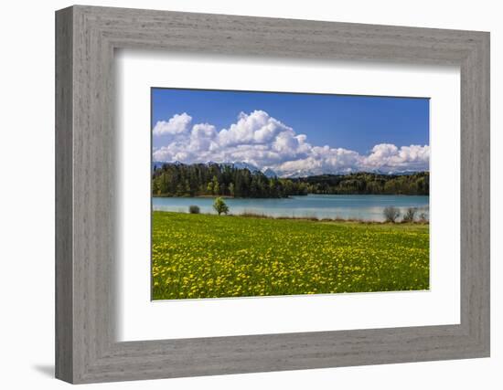 Germany, Bavaria, Upper Bavaria, Pfaffenwinkel, Osterseen-Udo Siebig-Framed Photographic Print