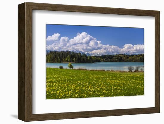 Germany, Bavaria, Upper Bavaria, Pfaffenwinkel, Osterseen-Udo Siebig-Framed Photographic Print