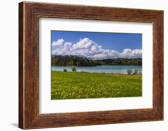 Germany, Bavaria, Upper Bavaria, Pfaffenwinkel, Osterseen-Udo Siebig-Framed Photographic Print