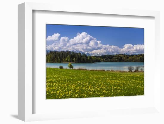 Germany, Bavaria, Upper Bavaria, Pfaffenwinkel, Osterseen-Udo Siebig-Framed Photographic Print