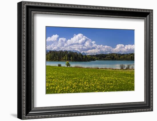 Germany, Bavaria, Upper Bavaria, Pfaffenwinkel, Osterseen-Udo Siebig-Framed Photographic Print