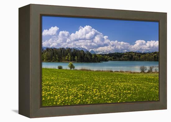 Germany, Bavaria, Upper Bavaria, Pfaffenwinkel, Osterseen-Udo Siebig-Framed Premier Image Canvas