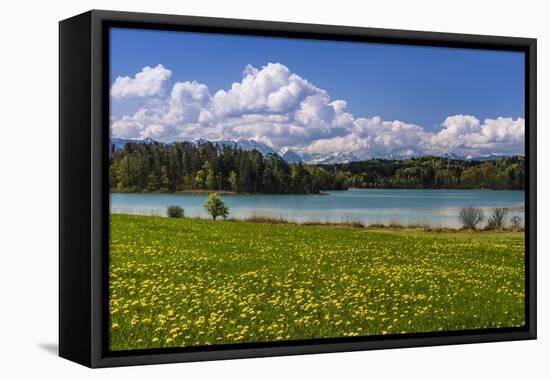 Germany, Bavaria, Upper Bavaria, Pfaffenwinkel, Osterseen-Udo Siebig-Framed Premier Image Canvas