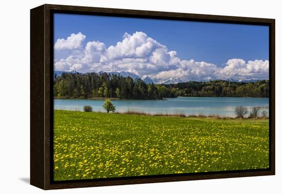 Germany, Bavaria, Upper Bavaria, Pfaffenwinkel, Osterseen-Udo Siebig-Framed Premier Image Canvas