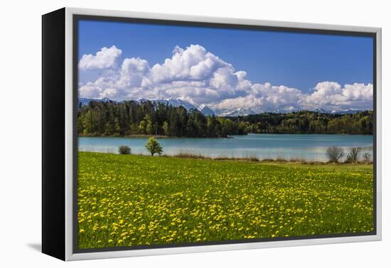 Germany, Bavaria, Upper Bavaria, Pfaffenwinkel, Osterseen-Udo Siebig-Framed Premier Image Canvas