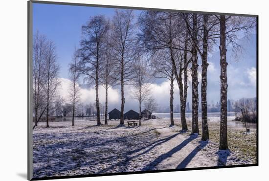 Germany, Bavaria, Upper Bavaria, Tšlzer Land (Area), Schlehdorf by the Kochelsee-Udo Siebig-Mounted Photographic Print