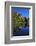 Germany, Bavaria, View from the Monastery of Sankt Mang at FŸssen across the Lech River-Uwe Steffens-Framed Photographic Print