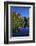 Germany, Bavaria, View from the Monastery of Sankt Mang at FŸssen across the Lech River-Uwe Steffens-Framed Photographic Print