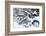 Germany, Berlin, Bicycles, Snowy-Catharina Lux-Framed Photographic Print
