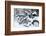 Germany, Berlin, Bicycles, Snowy-Catharina Lux-Framed Photographic Print