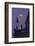Germany, Berlin, Bodemuseum and Television Tower, Dusk-Andreas Keil-Framed Photographic Print
