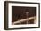 Germany, Berlin, Dusk, Alexanderplatz, Christmas Market-Catharina Lux-Framed Photographic Print