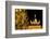 Germany, Berlin, the Brandenburg Gate, Christmas Tree, Night-Catharina Lux-Framed Photographic Print