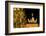 Germany, Berlin, the Brandenburg Gate, Christmas Tree, Night-Catharina Lux-Framed Photographic Print