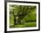 Germany, Bermoll Natural Monument-K. Schlierbach-Framed Photographic Print