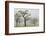 Germany, Black Forest, Munstertal, Autumn Landscape with Trees and Fog-Walter Bibikow-Framed Photographic Print