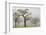 Germany, Black Forest, Munstertal, Autumn Landscape with Trees and Fog-Walter Bibikow-Framed Photographic Print