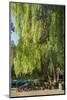 Germany, Brandenburg, Spreewald (Spree Forest), LŸbben, Harbour, Seats under Weeping Willow-Chris Seba-Mounted Photographic Print