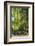 Germany, Brandenburg, Spreewald (Spree Forest), LŸbben, Harbour, Seats under Weeping Willow-Chris Seba-Framed Photographic Print