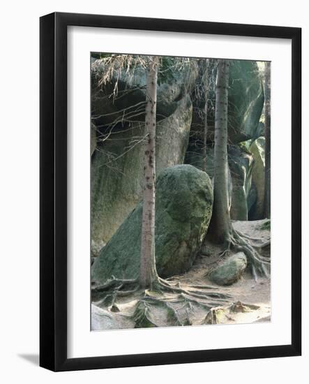 Germany, Fichtelgebirge (Fichtel Mountains), Luisenburg-Rock Labyrinth Near Wunsiedel-Thonig-Framed Photographic Print