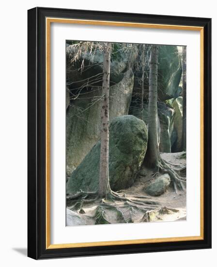 Germany, Fichtelgebirge (Fichtel Mountains), Luisenburg-Rock Labyrinth Near Wunsiedel-Thonig-Framed Photographic Print