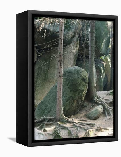 Germany, Fichtelgebirge (Fichtel Mountains), Luisenburg-Rock Labyrinth Near Wunsiedel-Thonig-Framed Premier Image Canvas