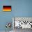 Germany Flag Design with Wood Patterning - Flags of the World Series-Philippe Hugonnard-Mounted Art Print displayed on a wall