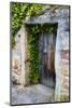 Germany, Freinsheim, Old Doorway-Hollice Looney-Mounted Photographic Print