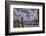 Germany, Hamburg, Elbe, Harbor, St. Pauli, Am Fischmarkt-Ingo Boelter-Framed Photographic Print