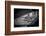 Germany, Hamburg, Elbe, Harbor, St. Pauli, Am Fischmarkt-Ingo Boelter-Framed Photographic Print