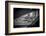 Germany, Hamburg, Elbe, Harbor, St. Pauli, Am Fischmarkt-Ingo Boelter-Framed Photographic Print