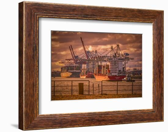 Germany, Hamburg, Elbe, Harbor, St. Pauli, Fish Market, Great Place, Container Terminal-Ingo Boelter-Framed Photographic Print