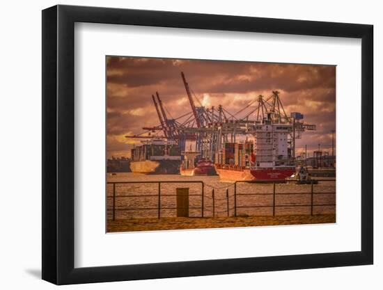 Germany, Hamburg, Elbe, Harbor, St. Pauli, Fish Market, Great Place, Container Terminal-Ingo Boelter-Framed Photographic Print