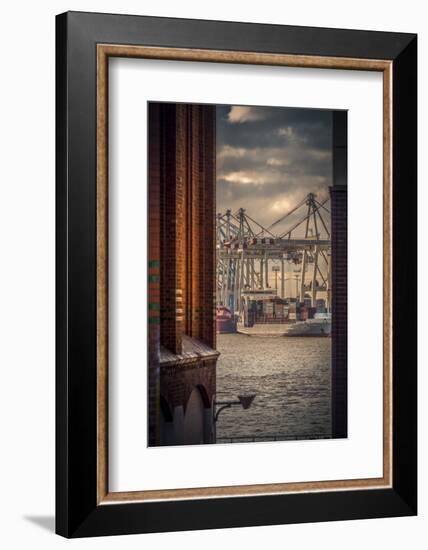 Germany, Hamburg, Elbe, Harbor, St. Pauli, Fish Market, Great Place, Container Terminal-Ingo Boelter-Framed Photographic Print