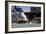 Germany, Hamburg, Elbe (River), 'Fischmarkt', Harbour-Ingo Boelter-Framed Photographic Print