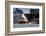 Germany, Hamburg, Elbe (River), 'Fischmarkt', Harbour-Ingo Boelter-Framed Photographic Print