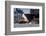 Germany, Hamburg, Elbe (River), 'Fischmarkt', Harbour-Ingo Boelter-Framed Photographic Print