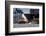 Germany, Hamburg, Elbe (River), 'Fischmarkt', Harbour-Ingo Boelter-Framed Photographic Print