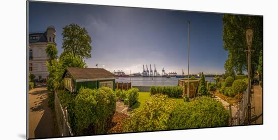 Germany, Hamburg, Elbe (River), …velgšnne, Elbwanderweg-Ingo Boelter-Mounted Photographic Print