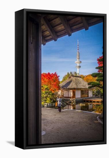Germany, Hamburg, Park, Park, Planten Un Blomen, Autumn-Ingo Boelter-Framed Premier Image Canvas