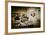 Germany, Hamburg, Reiherdamm, Odos Kaffeeklappe-Ingo Boelter-Framed Photographic Print